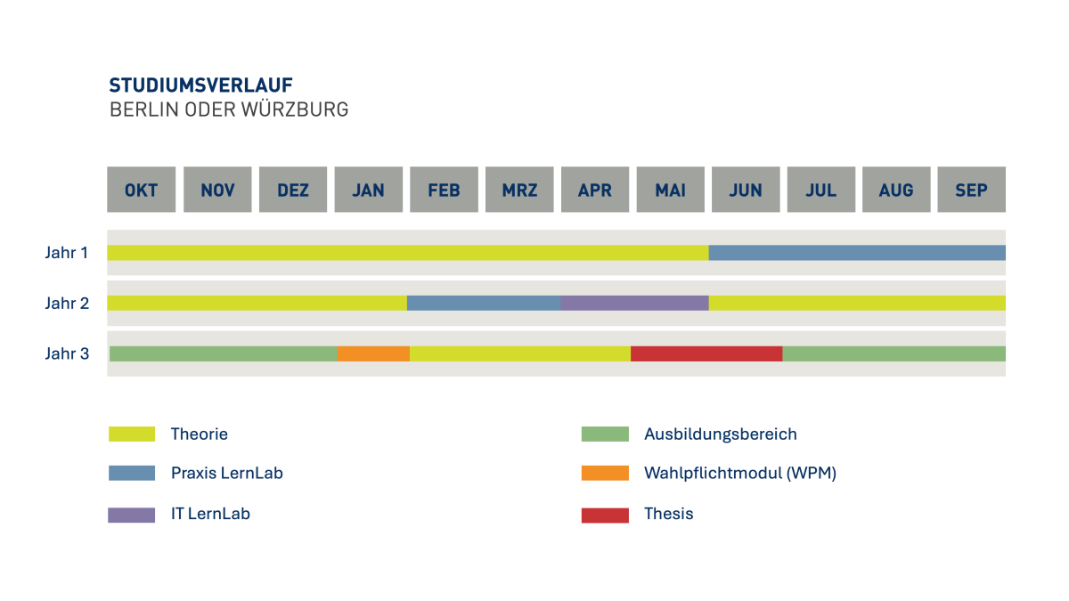 Studienverlauf in Berlin und Würzburg mit Theorie und Praxisphasen
