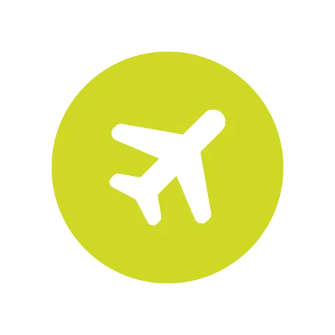 Auslandserfahrung Flugzeug Icon